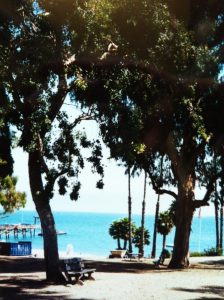 catalina-beachview