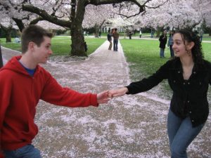 cherrytrees